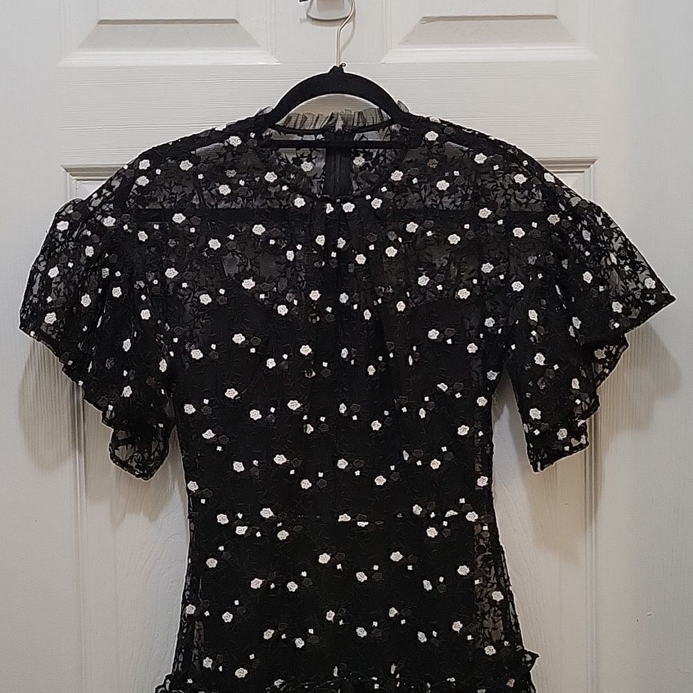 Pearl Lela Rose Embroidered Lace and Tulle Flounce Dress - Picture 3 of 16